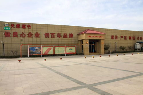 豆黃金食品 以六個(gè)國(guó)內(nèi)第一引領(lǐng)健康旅游業(yè)務(wù)創(chuàng)新